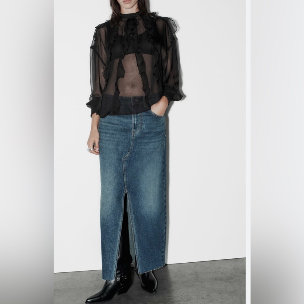 Zara semi-sheer with ruffles